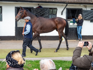 NH051025-43 - Thewoodcorner